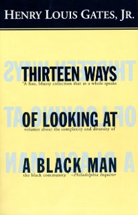 Cover Thirteen Ways of Looking at a Black Man