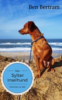 Cover Abenteuer auf Sylt