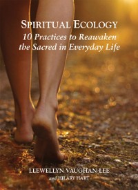 Cover Spiritual Ecology : 10 Practices to Reawaken the Sacred in Everyday Life