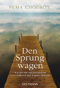 Cover Den Sprung wagen