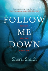 Cover Follow Me Down