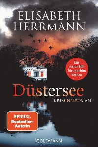 Cover Düstersee
