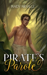 Cover Pirate's Parole