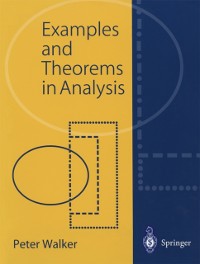 Cover Examples and Theorems in Analysis