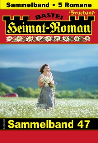 Cover Heimat-Roman Treueband 47