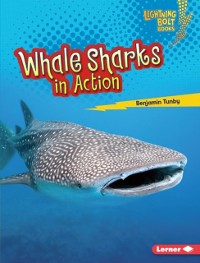 Cover Whale Sharks in Action