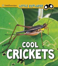 Cover Cool Crickets