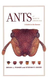 Cover Ants of North America