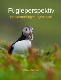 Cover Fugleperspektiv