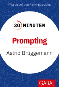 Cover 30 Minuten Prompting