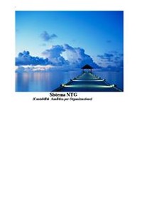 Cover Il  Sistema Ntg (Contabilità Analitica per Organizzazione)