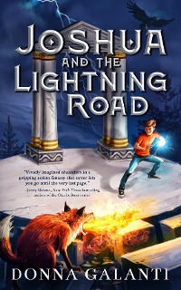 Cover Joshua and the Lightning Road