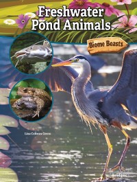 Cover Freshwater Pond Animals