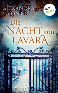 Cover Die Nacht von Lavara