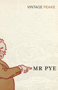 Cover Mr Pye