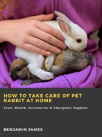 Cover How to Take Care of Pet Rabbit at Home: Food, Health, Accessories & Emergency Supplies