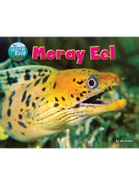 Cover Moray Eel
