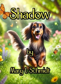 Cover Shadow