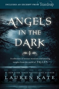 Cover Fallen: Angels in the Dark