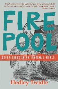 Cover Firepool