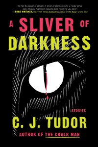 Cover Sliver of Darkness