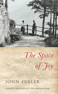 Cover The Space of Joy