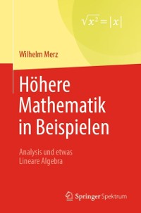 Cover Höhere Mathematik in Beispielen