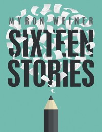 Cover Sixteen Stories