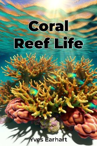 Cover Coral Reef Life