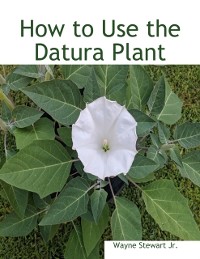 Cover How to Use the Datura Plant