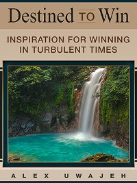 Cover Destined to Win: Inspiration for Winning in Turbulent Times