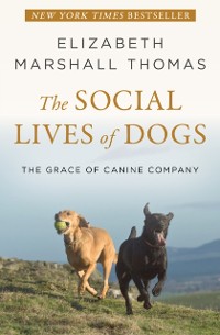 Cover Social Lives of Dogs