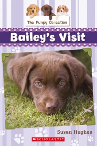 Cover Puppy Collection #1: Bailey's Visit