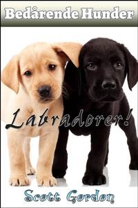 Cover Bedårende Hunder: Labradorer