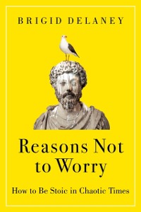 Cover Reasons Not to Worry