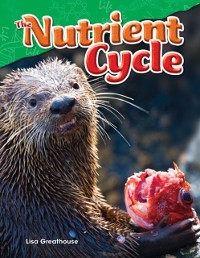 Cover Nutrient Cycle