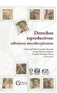 Cover Derechos reproductivos: reflexiones interdisciplinarias