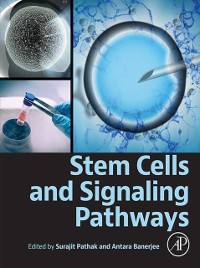 Cover Stem Cells and Signaling Pathways