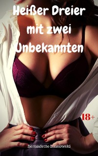 Cover Heißer Dreier mit zwei Unbekannten