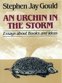 Cover An Urchin in the Storm: Essays about Books and Ideas