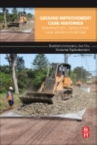 Cover Ground Improvement Case Histories