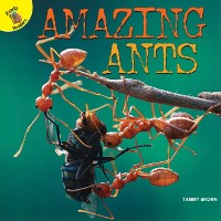 Cover Amazing Ants