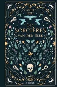 Cover Les Sorcieres Van der Beek - Integrale