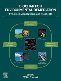 Cover Biochar for Environmental Remediation