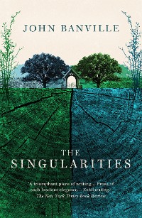 Cover The Singularities