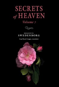 Cover Secrets of Heaven 7