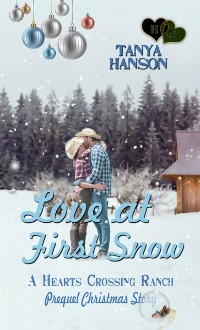 Cover Love at First Snow