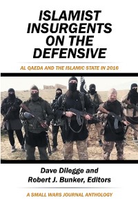 Cover Islamist Insurgents on the Defensive