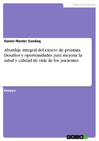 Cover Abordaje integral del cáncer de próstata. Desafíos y oportunidades para mejorar la salud y calidad de vida de los pacientes