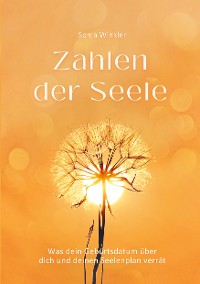 Cover Zahlen der Seele